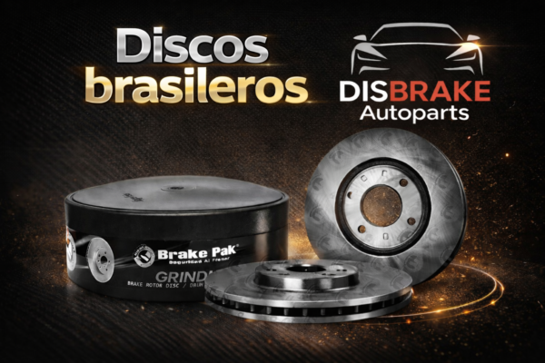 Discos de Freno BRASILERO para Renault Logan, Clio Fase I, Symbol, Megane I, Kangoo, Sandero y Citius
